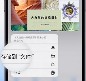 七星apple维修中心分享iPhone文件应用中存储和找到下载文件