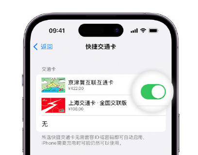 七星apple维修点分享iPhone上更换Apple Pay快捷交通卡手绘卡面 