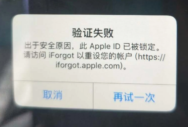 七星iPhone维修分享iPhone上正常登录或使用AppleID怎么办 