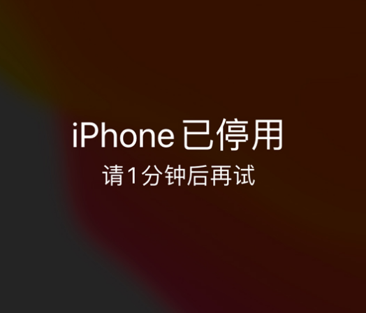 七星苹果手机维修分享:iPhone 显示“不可用”或“已停用”怎么办？还能保留数据吗？ 