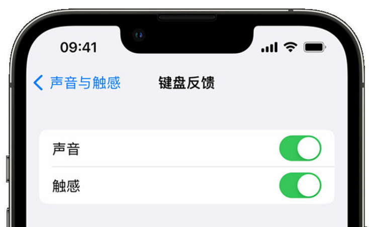 七星苹果手机维修分享iPhone 14触感键盘使用方法 