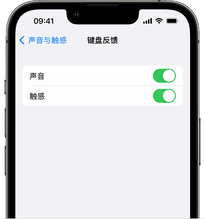 七星苹果14维修店分享如何在 iPhone 14 机型中使用触感键盘 