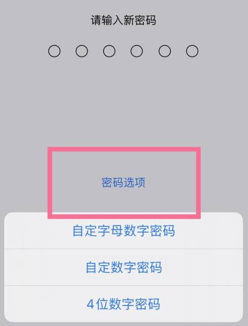 七星苹果14维修分享iPhone 14plus设置密码的方法 