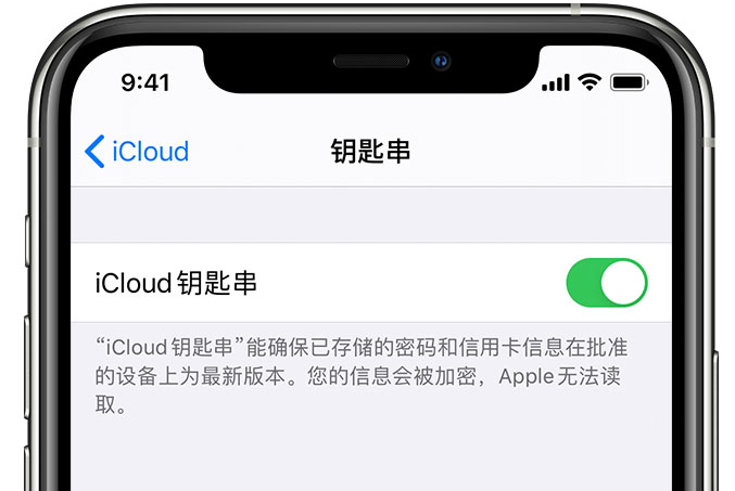 七星苹果手机维修分享在 iPhone 上开启 iCloud 钥匙串之后会储存哪些信息 