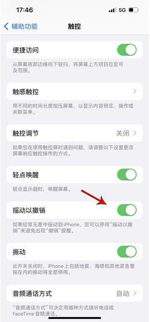 七星苹果手机维修分享iPhone手机如何设置摇一摇删除文字 